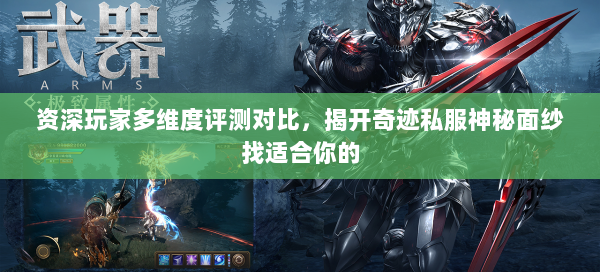 资深玩家多维度评测对比，揭开奇迹私服神秘面纱找适合你的  第1张